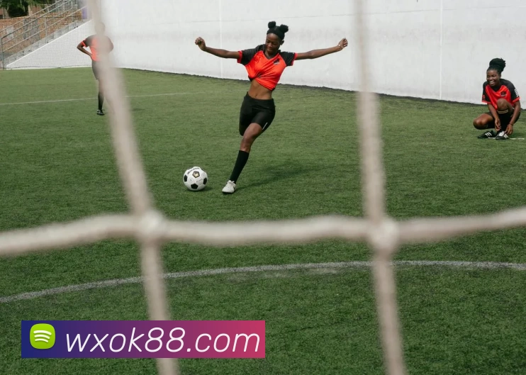 多媒体互动体验