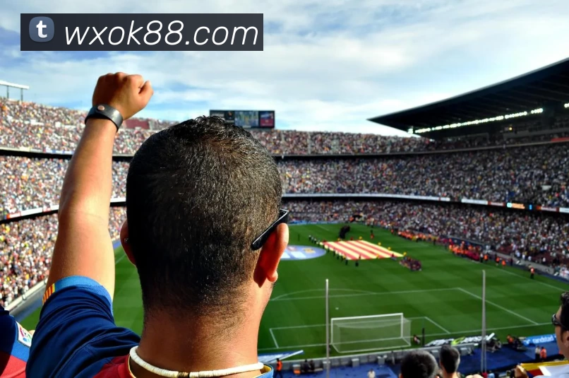 万向娱乐官网APP 高清赛事图