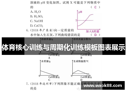 体育核心训练与周期化训练模板图表展示